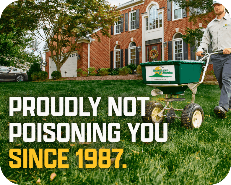 NaturaLawn of America